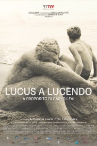 Lucus a Lucendo. A proposito di Carlo Levi (2019)