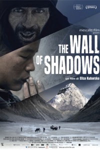 The Wall of Shadows (2020)